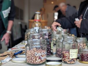 Saatgutfest