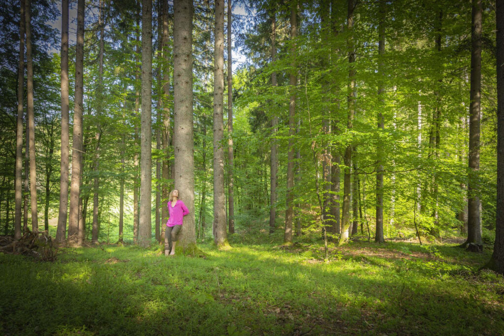 Film & Talk @ Volkskino Klagenfurt: „Das Geheime Leben der Bäume“
